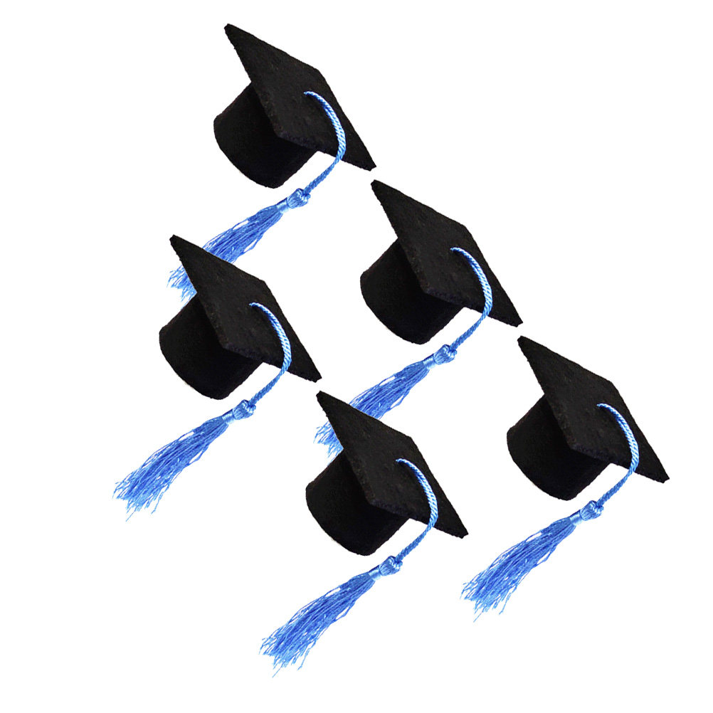 5Pcs Doctoral Hat Decoration M - Wine Beer Hat review and price