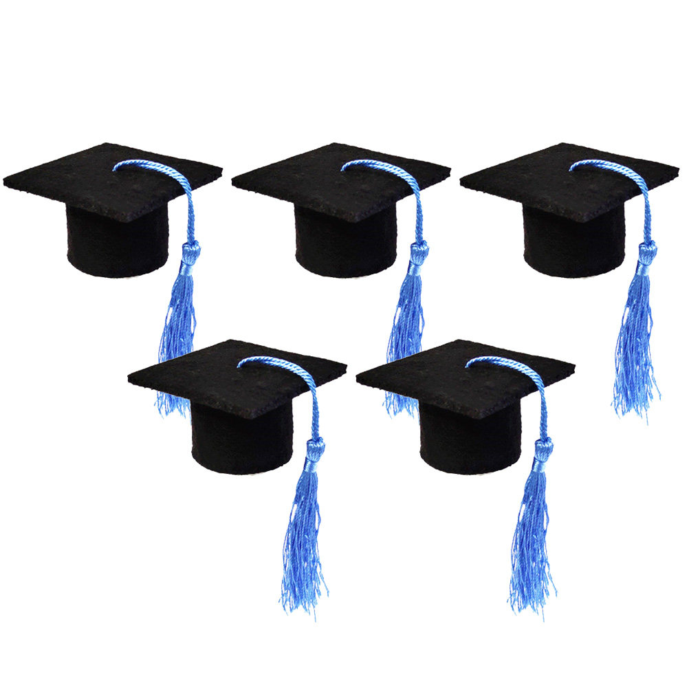 5Pcs Doctoral Hat Decoration M - Wine Beer Hat review and price