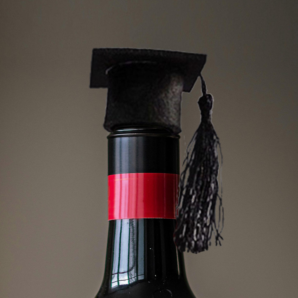 6Pcs Tassel Wine Bottle Cover  - Wine Beer Hat review and price